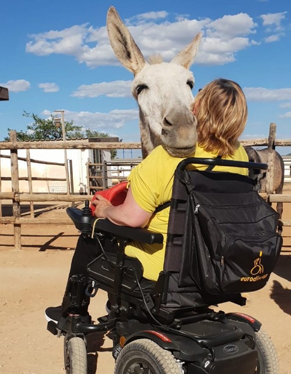 Séjour adapté PMR avec AVT dans le Vercors Trièves. Atelier médiation animale avec un âne.