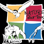 Logo Nature pour tous vacances adaptées