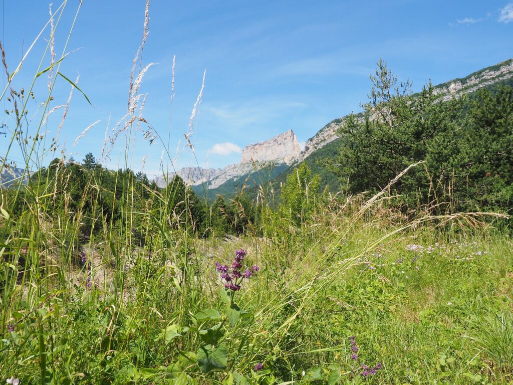 Vue sur le Mont Aiguille. AVT séjours pour tous propose des séjours pour les clubs de randonnée dans ses gîtes de groupes, situés dans le Vercors Trièves en Isère.